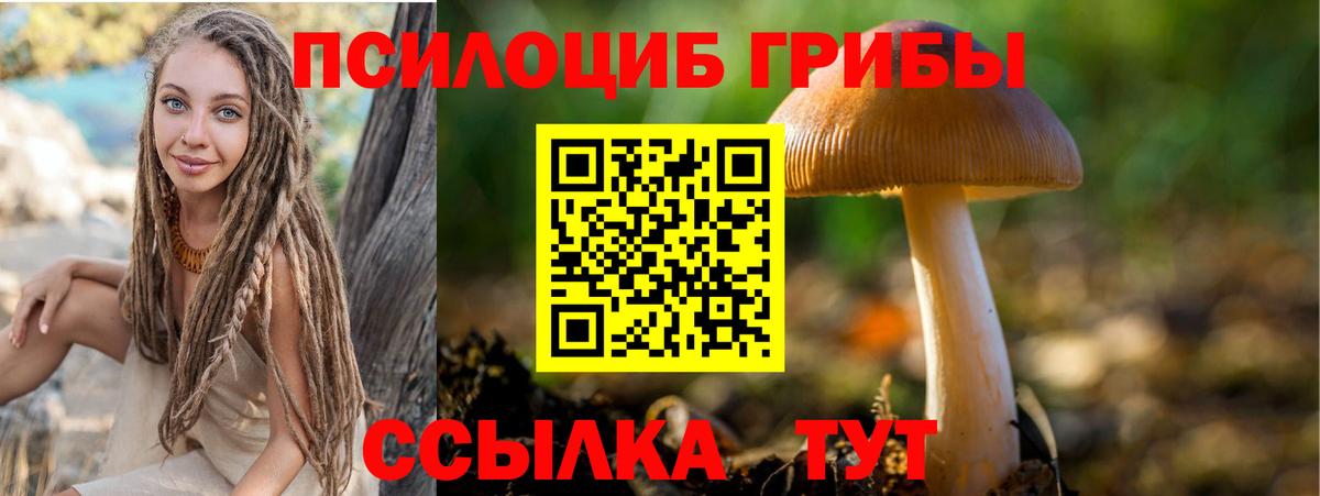 Галлюциногенные грибы GOLDEN TEACHER Тимашёвск